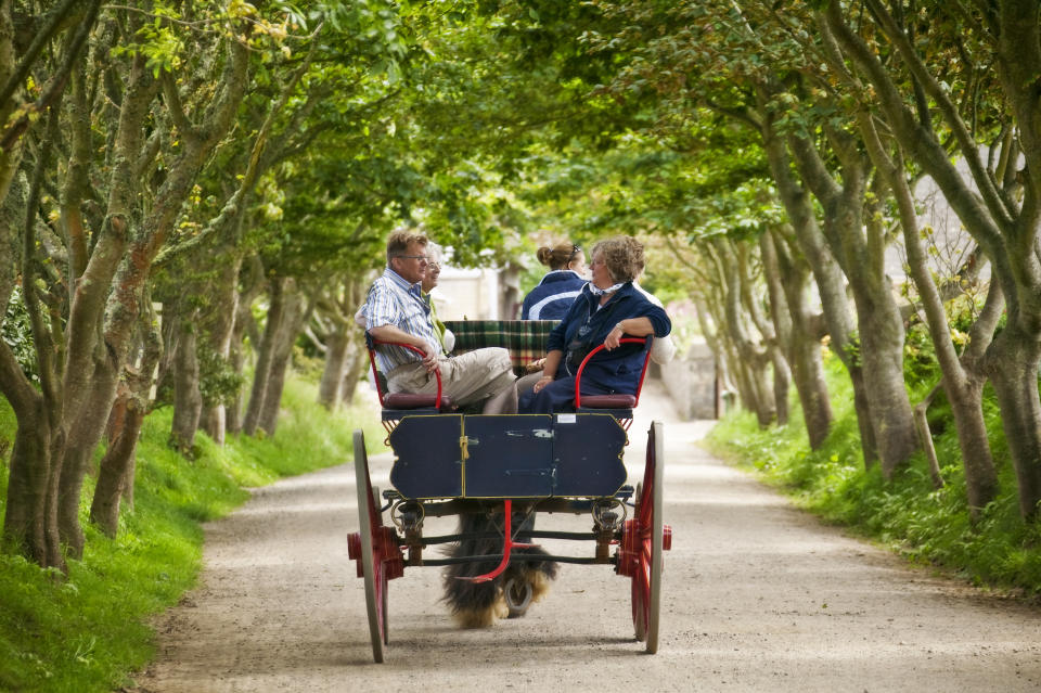 Exploring beautiful Sark the traditional way, by horse and carriage.