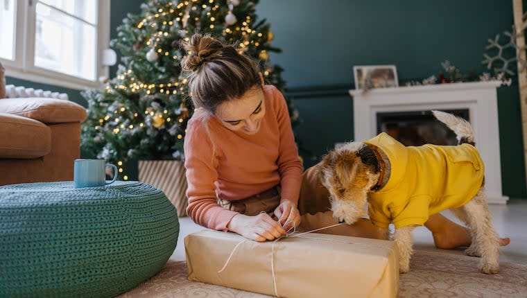 Dog Gadgets to Gift the Dog Parent in Your Life This Holiday Season