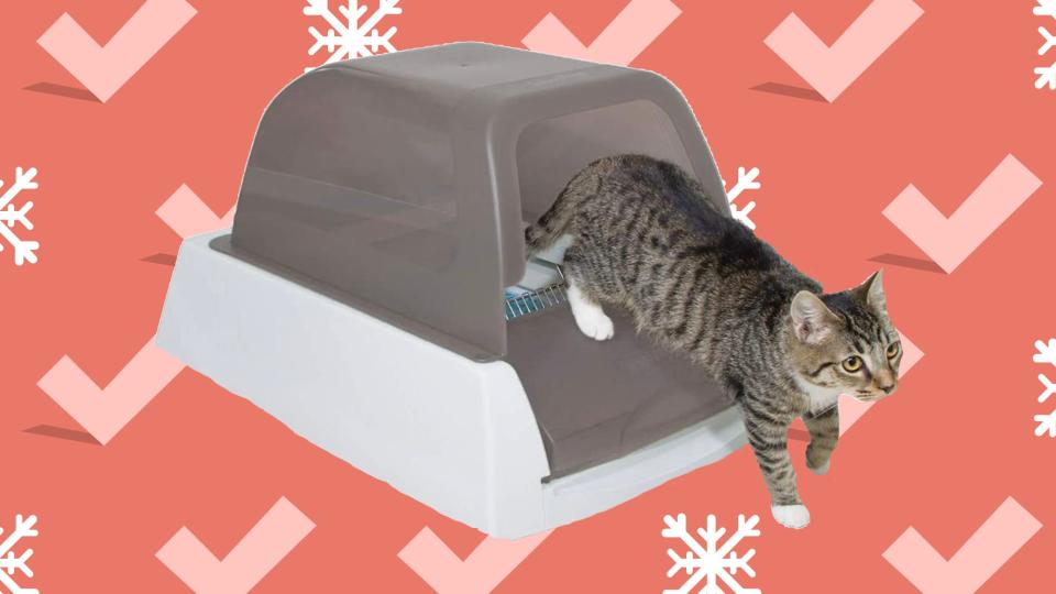 This self-cleaning litter box is extremely convenient—and now it's on sale.