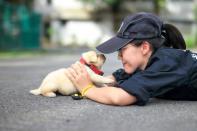 <p>Die Frage stellt sich, ob die PolizistInnen überhaupt noch zum Arbeiten kommen oder ob das Schmusen mit den Vierbeinen nicht all ihre Aufmerksamkeit einfordert? (Foto: Caters News Agency) </p>