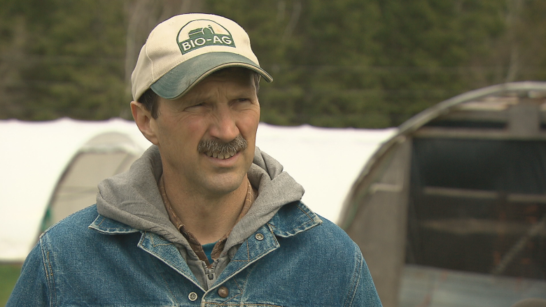 Genetically modified alfalfa coming to Eastern Canada concerns farmers