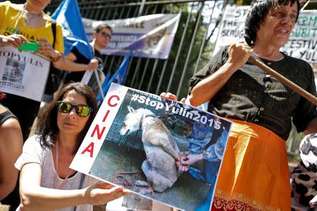 Animal activists hold banners against Yulin Dog Meat Festival in front of the Chinese embassy in Rome, Italy June 21, 2016. REUTERS/Tony Gentile