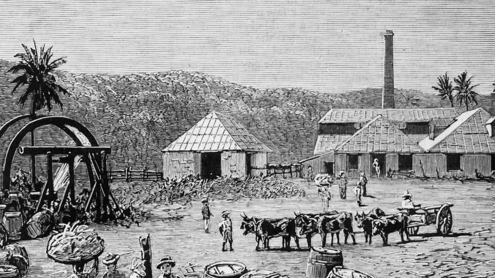 Sugar mill pictured in the late 1800s