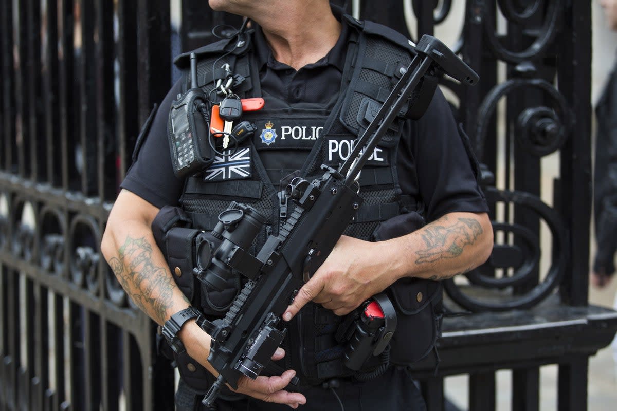 Armed officer on duty in Whitehall (Jack Taylor/Getty Images)