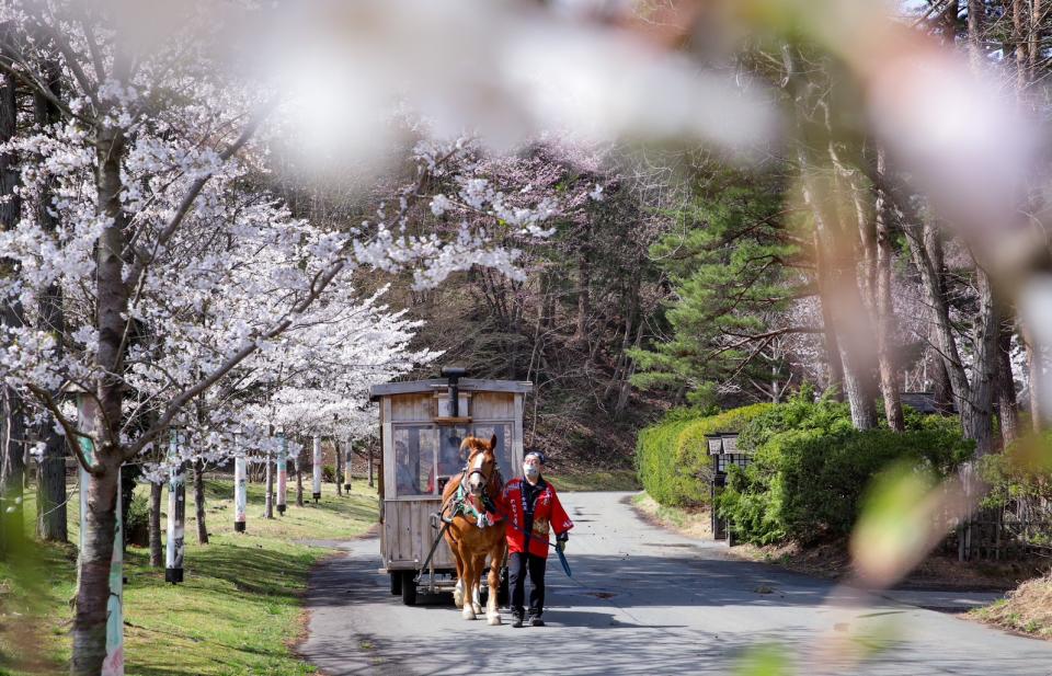 搭乘馬車欣賞公園內的季節美景。（圖片來源：妮可魯）