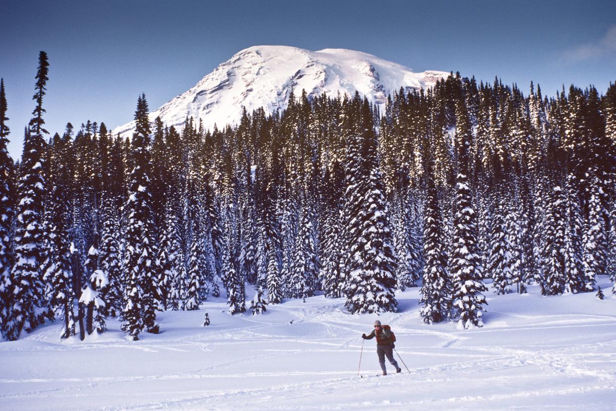 Mount Rainier, WA