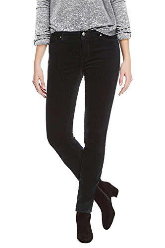 2) Buffalo Ladies Velvet Pant with Stretch