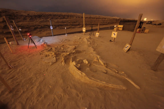 The researches collected 3D scans of the bones to analyze back in the lab.