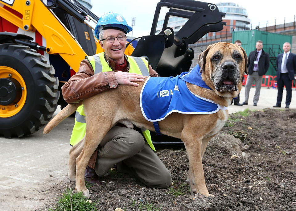 Paul O'Grady poses with a dog at the launch of a new campaign to provide updated kennels at Battersea Dogs & Cats Home on March 20, 2014 in London, England.  (Photo by Danny Martindale/WireImage)