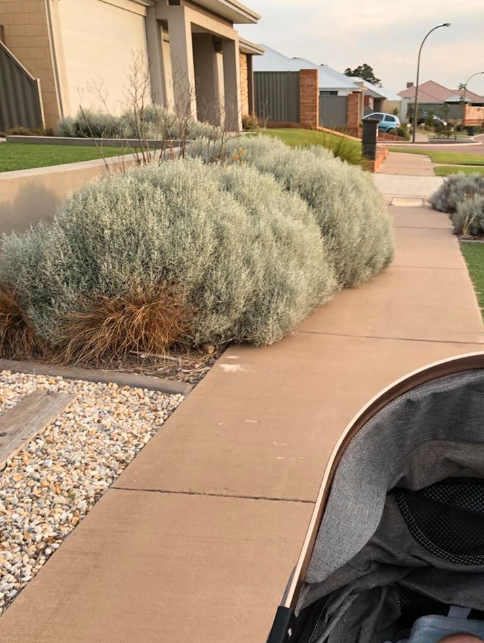 The mother complained about the bush which is obstructing the path in Byford, Western Australia. Source: Facebook.