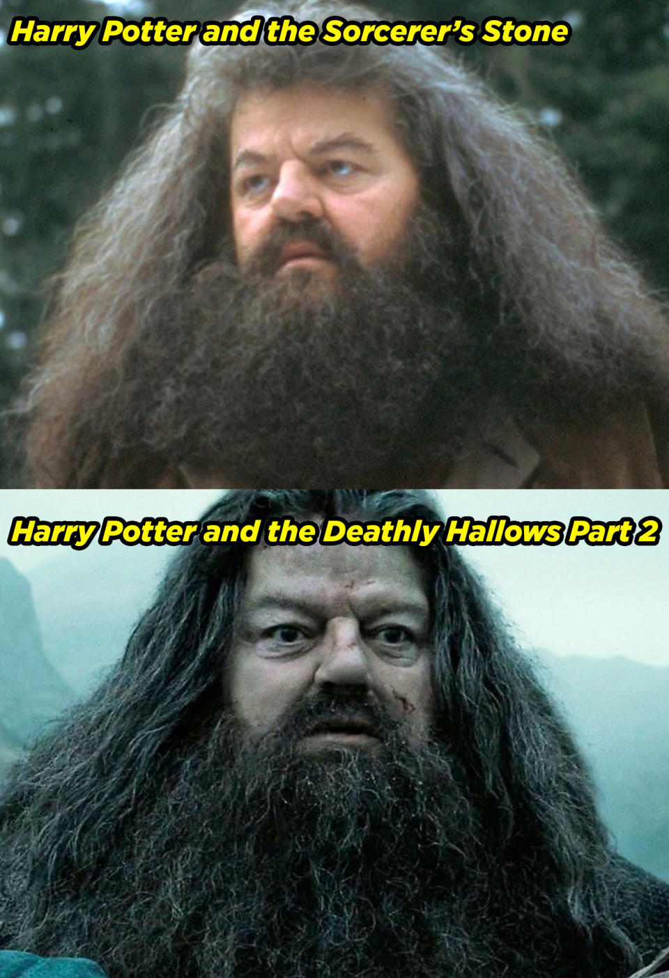 Robbie Coltrane in the Sorcerer's Stone and Deathly Hallows Part 2