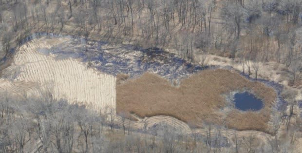 Karen Cedar