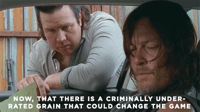 <p><strong>Season 6, “The Next World”</strong><br><br>The facial reactions of Daryl and Rick in this scene were priceless, as was Eugene’s discourse on sorghum as he gave the two pals tips on what to look for as they were about to embark on a supply run. “I mapped out some of the agricultural-supply places in the area. Even if they’ve been cleaned out, my bet is that the sorghum would be untouched,” Eugene said. “Now, that there is a criminally underrated grain that could change the game of our food situation from scary to hunky-dunky. I’m talking standability, drought tolerance, grain-to-stover ratio that is the envy of all corns. Think about it.”<br><br>(Credit: AMC) </p>