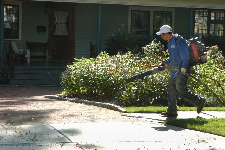 \4101 LeafBlowers 01/2 Montclair; NJ  09/18/09 A landscaper cleaning a North Mountain Ave. driveway and yard runs to the truck with a leaf blower Friday morning; Sept. 18. A proposed ordinance to change Montclair rules would for the first-time set limit on the decibel level of leaf blowers year-round. If the council adopts the proposed ordinance it would leave landscapers facing higher cost for quieter machines or looking for other alternatives for leaf clearing and site cleanup. Professional landscapers are concerned of other measures in the proposed draft; created by the Montclair Environmental Commission; including an extension of the leaf blower ban period. ADAM ANIK / STAFF PHOTOGRAPHER