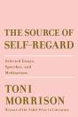 From the writer who gave us <em>Beloved,</em> <em>The Bluest Eye,</em> <em>Sula,</em> and so many other incredible classics, this nonfiction collection is a look back at her life and career, which ended with her death in August. In <em>The Source of Self-Regard,</em> Morrison compiled essays, speeches, and thoughts on culture over the past four decades. She writes about female empowerment, money, human rights, and black culture, and offers new commentary on her own novels. This book is an intimate look at this literary powerhouse—and a peek inside her mind.