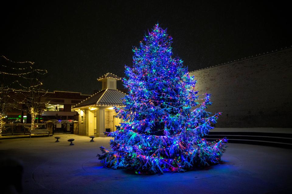 Zeeland's newly-lit Christmas tree sits adorned with lights during the Zeeland Magical Christmas Parade on Monday, Nov. 29.