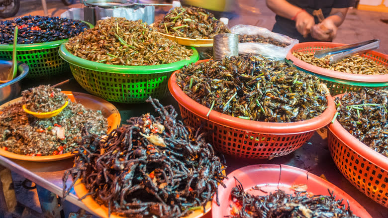 display of insect foods