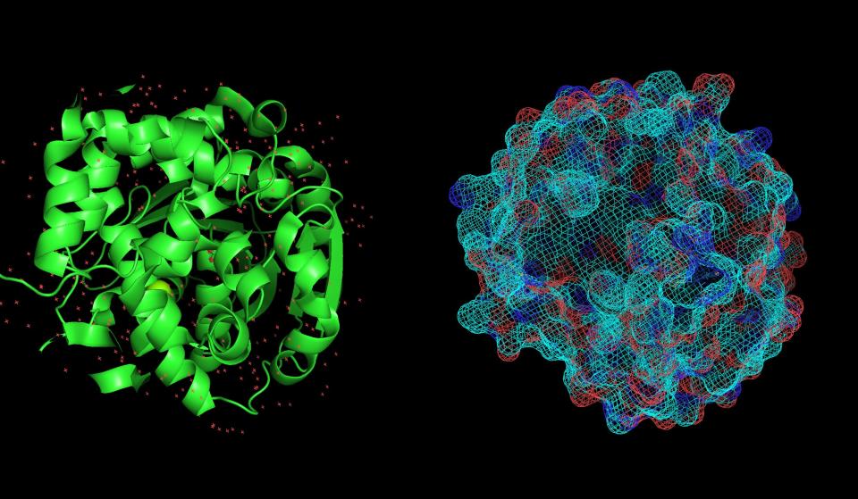 Visualisation of proteins in silico, made by Saif Ur-Rehman, Basecamp Research's data engineering team lead.