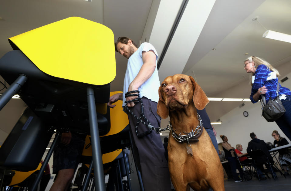 CORRECTS THE OWNER'S NAME TO DAMON HOYDYSH, NOT DANIEL DELGADILLO - A Mae waits as her owner Damon Hoydysh, left, 42, casts his ballot in the Super Tuesday primary election in El Segundo, Calif., Tuesday, March 3, 2020. (AP Photo/Ringo H.W. Chiu)