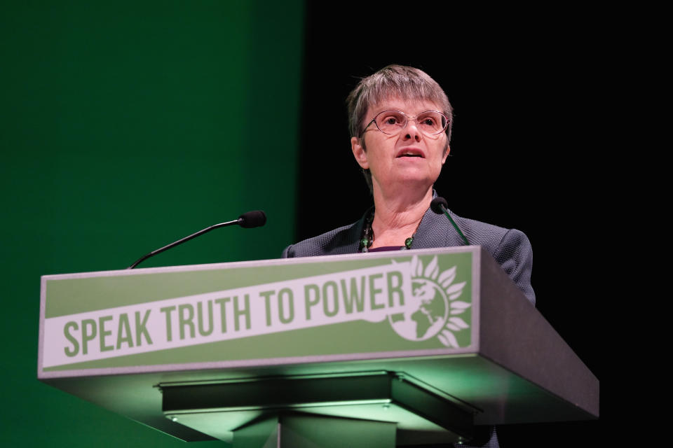 Green MEP Molly Scott Cato supports the plans (Getty)