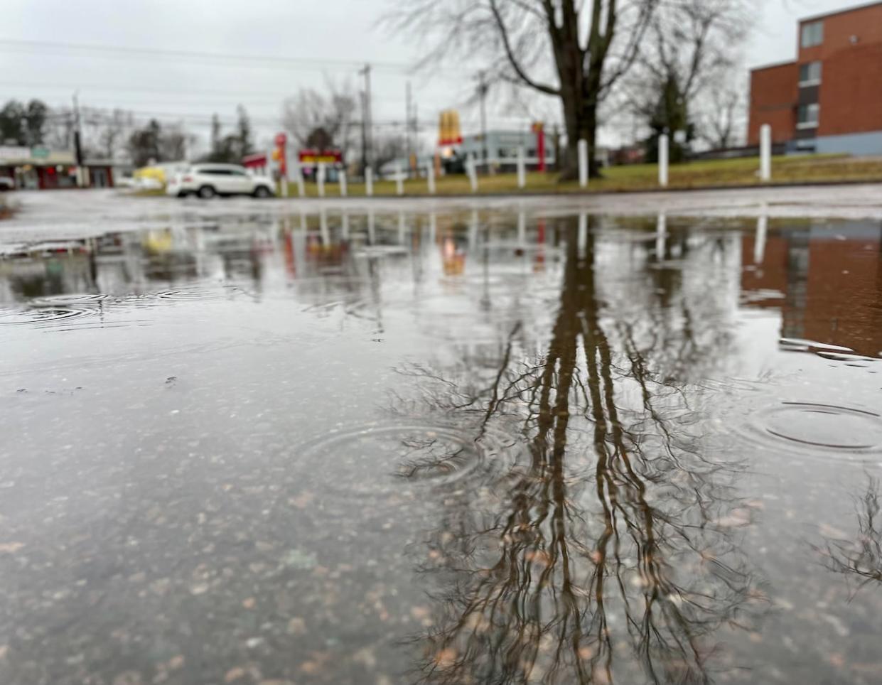 Environment Canada warns surfaces like highways, roads, walkways and parking lots may be difficult to get around on. (Alex MacIsaac/CBC - image credit)