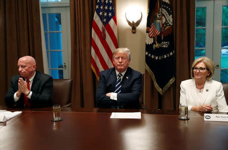 U.S. President Donald Trump sits between Rep. Kevin Brady (R-TX) and Rep. Diane Black (R-TN) at the start of a meeting with members of the U.S. Congress at the White House in Washington, July 17, 2018. REUTERS/Leah Millis