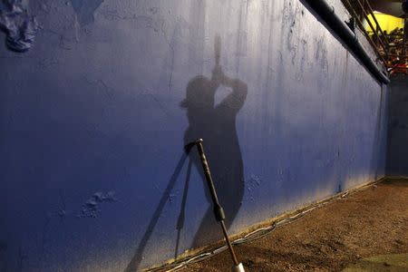 The shadow of a batter is seen on the wall during a baseball game between Los Artesanos de Las Piedras and Los Halcones de Gurabo during the Puerto Rico Double A baseball league at Las Piedras, Puerto Rico, June 11, 2016. REUTERS/Alvin Baez