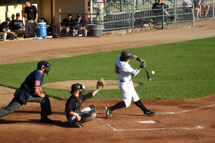 Attend a minor league game