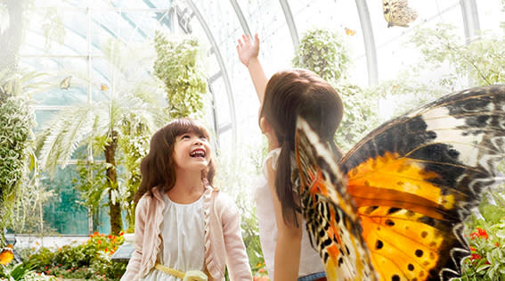 The butterfly garden, open 24 hours, stretches across two floors from level 2 to 3. Picture: Supplied