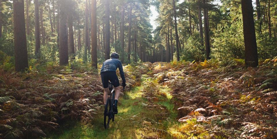 Spending Time in Nature Influences Your Food Choices, Says a New Study