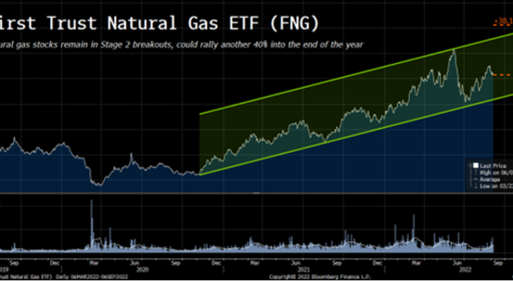 Chart showing FNG's stage analysis