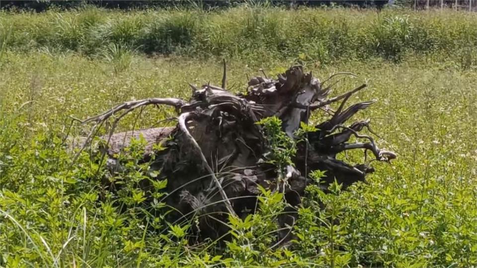 宗教團體爆在石虎棲地蓋閉關中心　苗縣府：農地不得作宗教用途