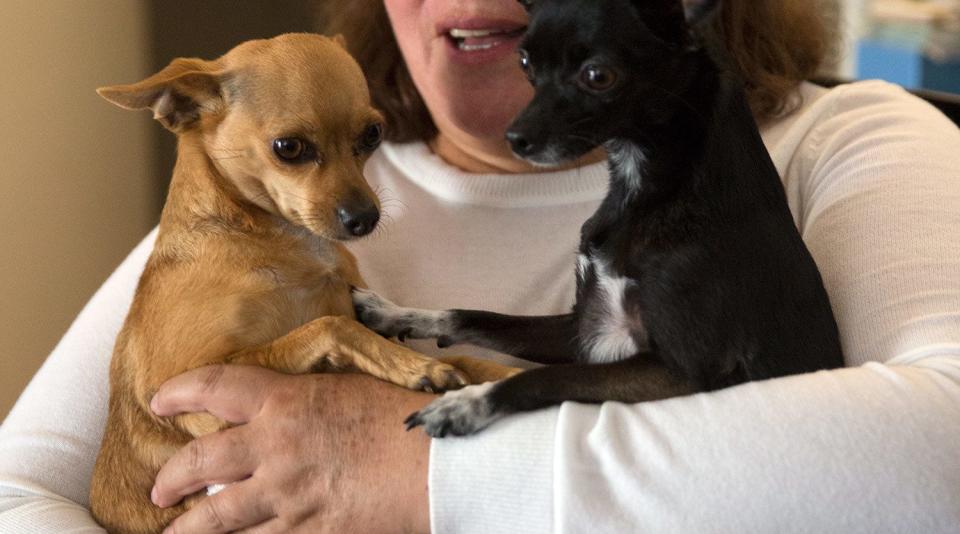 Pancha and her dogs. (Photo: Angela Boatwright/DNDi)