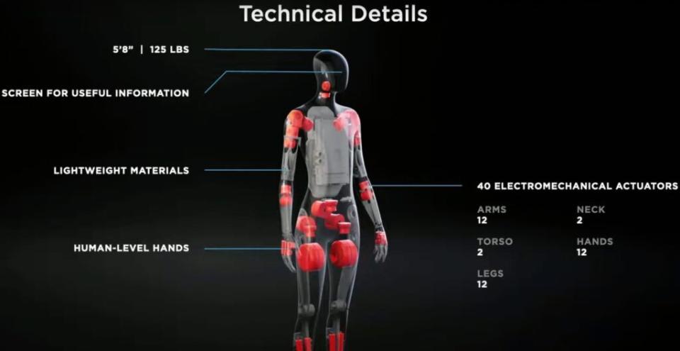 Robot Tesla Bot