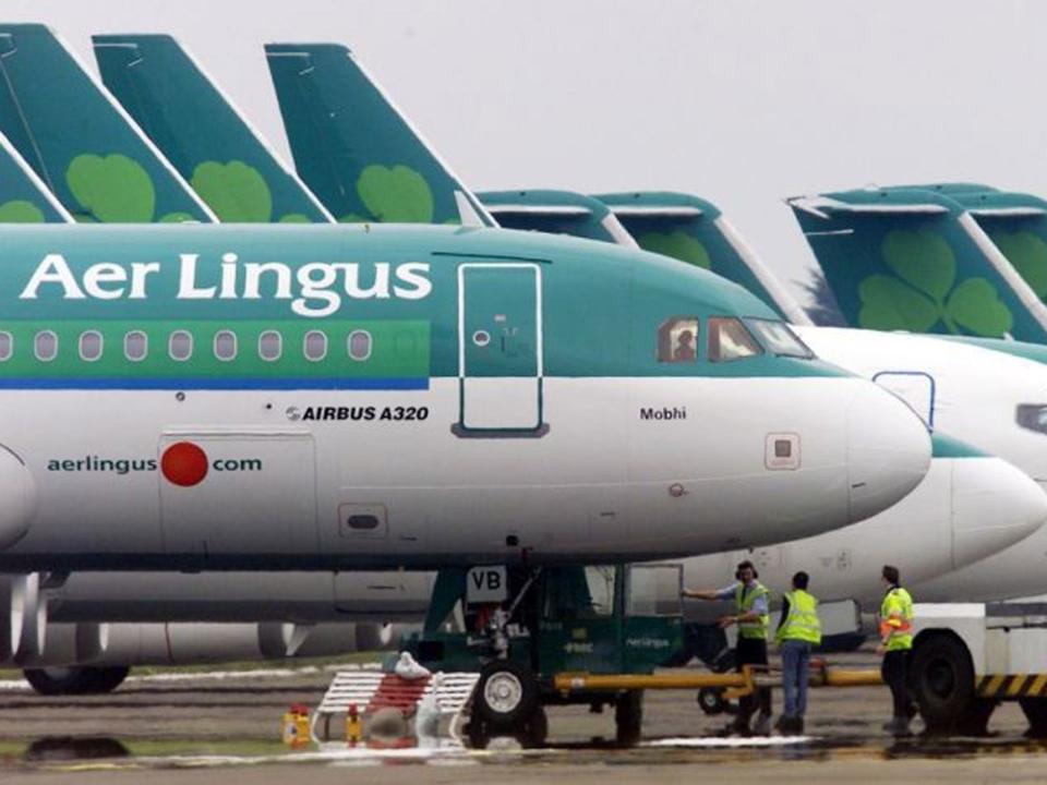 Aer Lingus is seeking indemnity for the incident