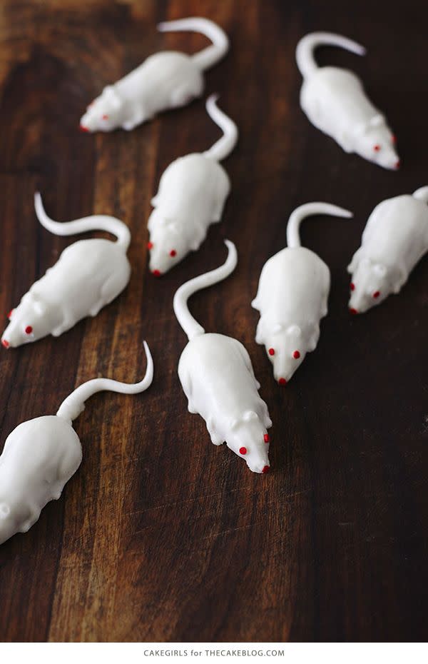 Mini Mice Cakes