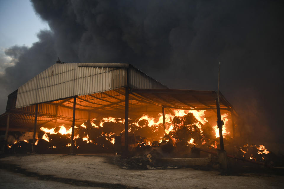 A farm is in flames during a wildfire in Velestino, Magnisia, Greece on July 26, 2023 (Photo by Nephele Nomikou / SOOC / SOOC via AFP) (Photo by NEPHELE NOMIKOU/SOOC/AFP via Getty Images)