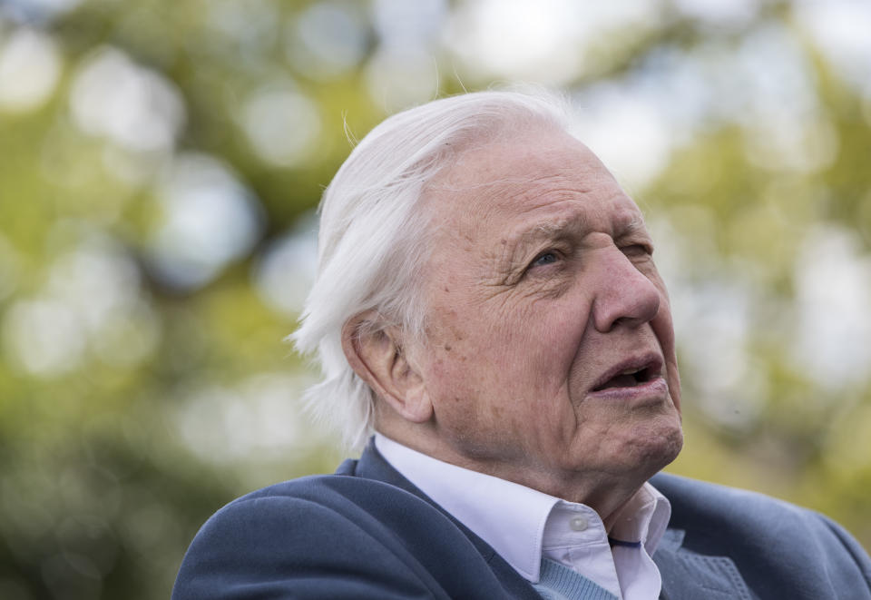 LONDON, ENGLAND - APRIL 30:  Sir David Attenborough attends the launch of the London Wildlife Trust's new Flagship nature reserve Woodberry Wetlands on April 30, 2016 in London, England.  (Photo by John Phillips/Getty Images )