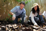 MIAMI, FL - SEPTEMBER 15: Dr. Keith Richardson (L), Florida Department of Agriculture, and Olga Garcia, Environmental Specialist Florida Department of Agriculture, look for Giant African land snails as they work on eradicating a population of the invasive species in Miami-Dade County on September 15, 2011 in Miami, Florida. The Giant African land snail is one of the most damaging snails in the world because they consume at least 500 different types of plants, can cause structural damage to plaster and stucco, and can carry a parasitic nematode that can lead to meningitis in humans. The snail is one of the largest land snails in the world, growing up to eight inches in length and more than four inches in diameter. (Photo by Joe Raedle/Getty Images)