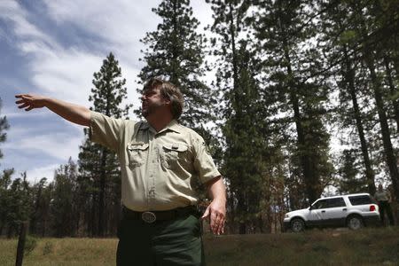 U.S. National Forest Service forester Marty Gmelin discusses morel mushroom poaching and the 2013 Rim Fire with Reuters in the Stanislaus National Forest in California May 30, 2014. REUTERS/Elijah Nouvelage