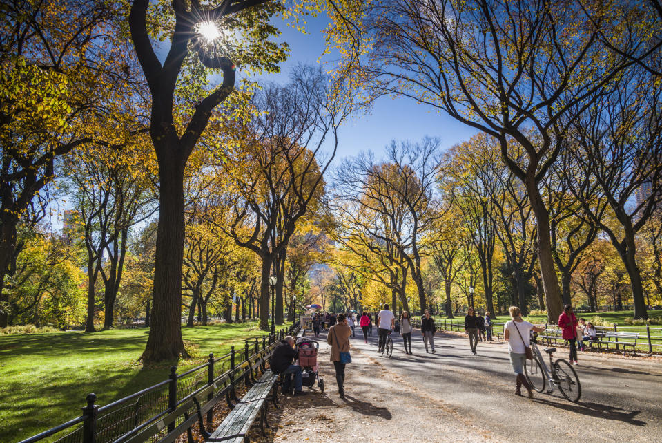 People walking in Central Park on a sunny day.