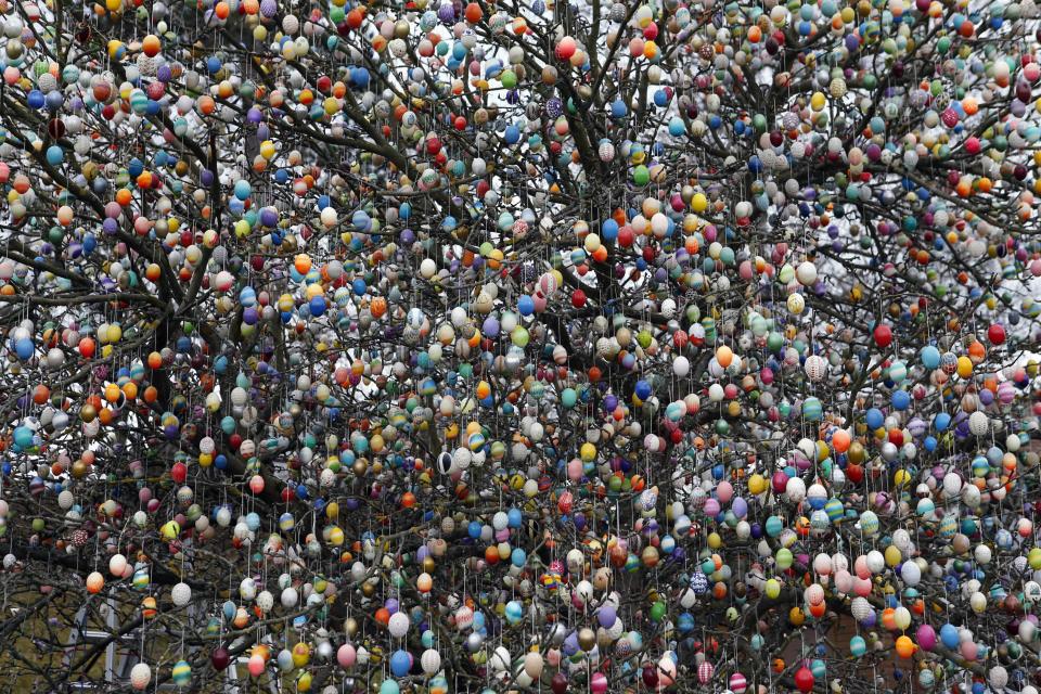 Easter eggs adorn an apple tree in the garden of the summerhouse of German pensioners Christa and Volker Kraft in Saalfeld