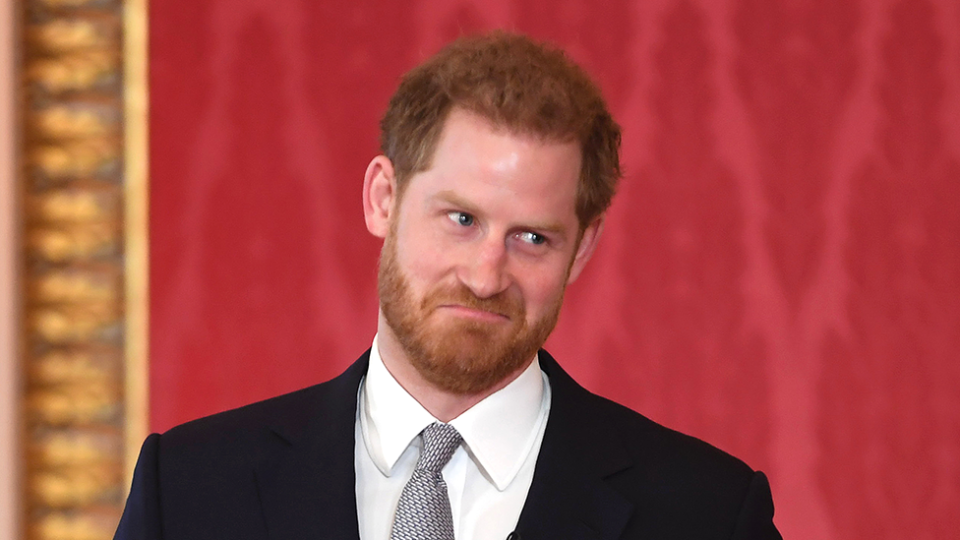 Prince Harry pulls face represents Rob Lowe ponytail claim