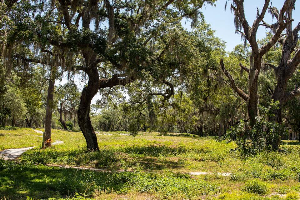Overgrown cart paths wind through old fairways and dilapidated greens at a golf course at Grenelefe. A developer's plan calls for new houses on portions of the old golf course, but it would leave the driving range intact and a nine-hole executive course.