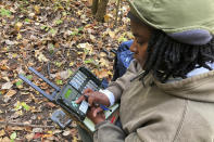 Yale University wildlife biologist Nyeema Harris examines equipment used to trace movements of animals in O’Hair Park, on Oct. 8, 2022, in Detroit. Harris and colleagues have placed trail cameras in woodsy sections of 25 city parks for the past five years. With many types of wildlife struggling to survive and their living space shrinking, some are finding their way to big cities. (AP Photo/John Flesher)