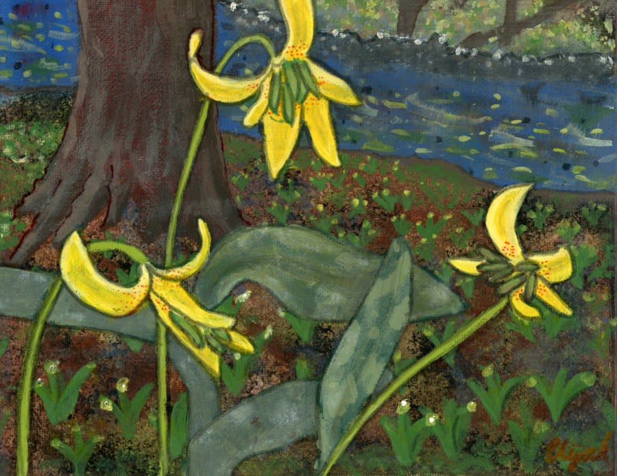 <em>Fish Out of Water</em>, an acrylic painting of Yellow Trout Lily © Elijah Bennett, 7<sup>th</sup> grade, Homeschool, Fayette County, 2024 Appalachian Spring Wildflower Art Contest – Best in Show overall.