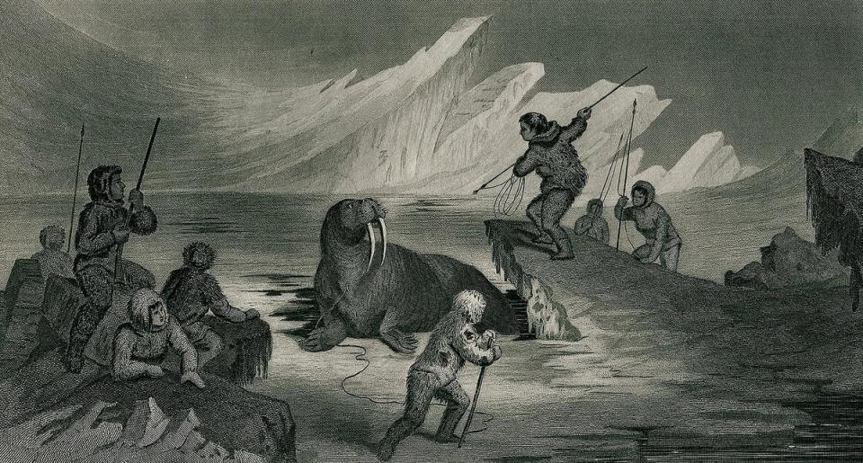 The ivory sculpture of Christ being brought down from the Cross was made in the late 12th century from Greenlandic walrus ivory, but Arctic walrus hunting continued for centuries, as this 19th century image demonstrates (Supplied)