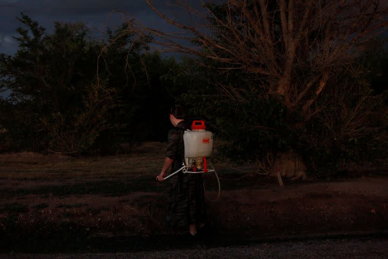 The Wider Image: In Mexico, a decade of images shows Mennonites' traditions frozen in time