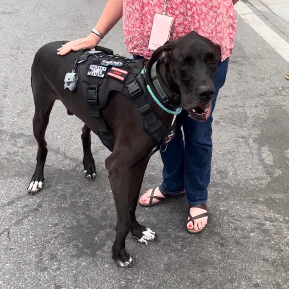 George, a service dog, stands with his owner in downtown Nashville during CMA Fest on Friday, June 10, 2022.