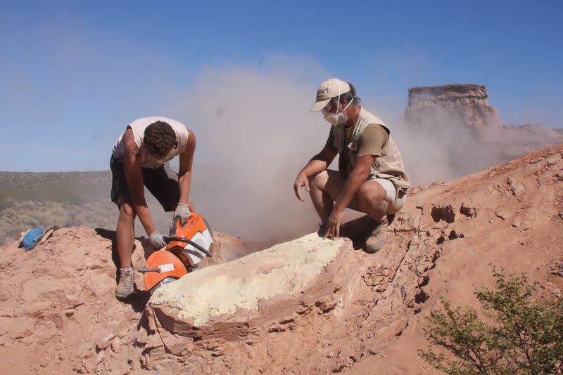 Argentine scientist introduces the first bipedal armoured dinosaur found in South America